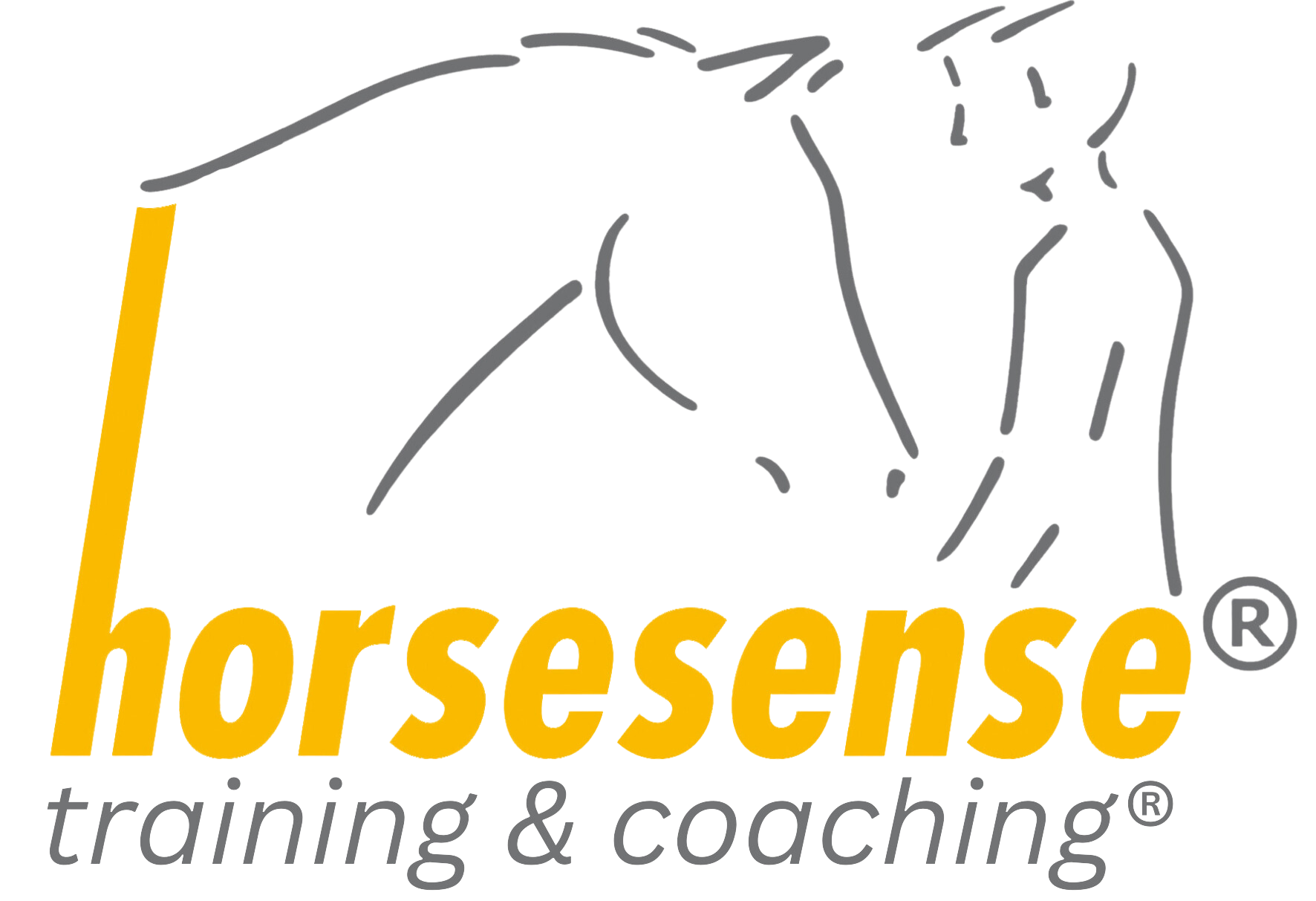 Horsesense Logo V4