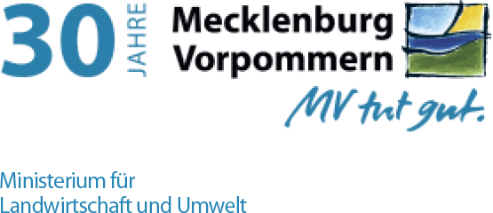 MV Logo