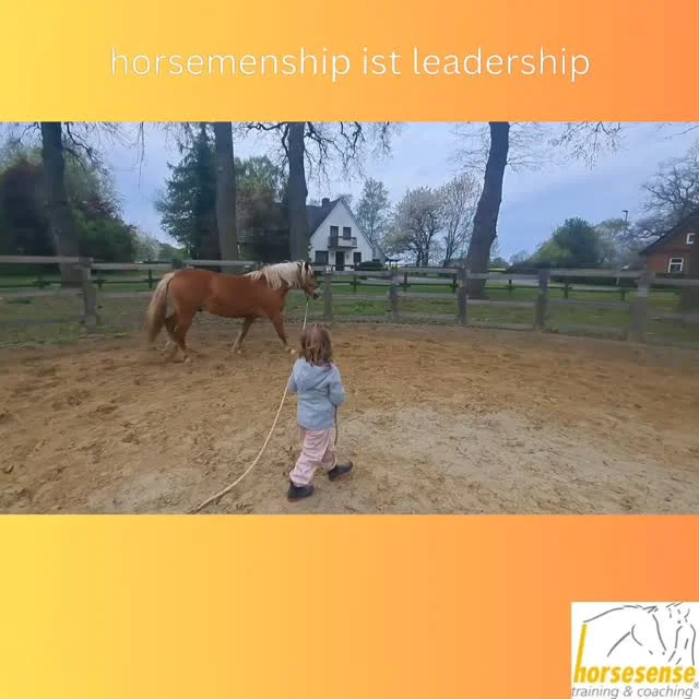 leadership braucht innere Grösse. Pferde reagieren auf deine Kongruenz von Innen und Aussen - nicht auf das scheinbar Sichtbare für das menschliche Auge 😉 #horsesense #entwicklung #ausbildung #pferdegestützt #coaching #leadership #horsemenship