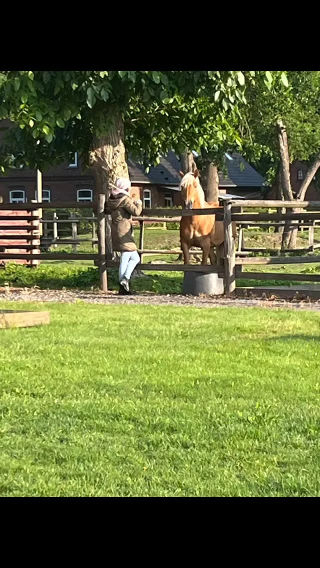 Inspirierende Trainertage #horsesense #entwicklung #ausbildung #pferdegestützt #coaching #leadership