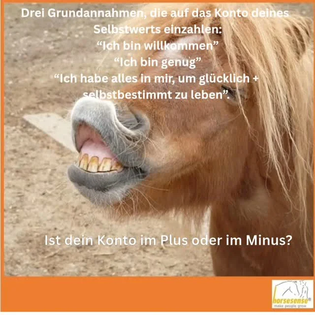 Deine Grundmuster sind Prägungen aus deiner Kindheit, die deinen jetzigen Selbstwert bestimmen. Wie geliebt und willkommen hast du dich gefühlt? Bist du stolz auf dich? Kennst du dein Potenzial? Kannst du chillen oder bist du häufig im ToDo-Modus? #Selbstwert #selbstliebestärken #entwicklung #coaching #wertvoll #Potenzial #horsesense #glaubenssätzelösen #glaubandeineträume #ichbingenug #iamenough #selfesteem #einmalig